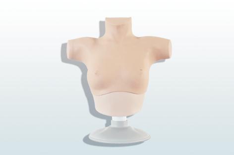 乳腺癌觸診、視診訓(xùn)練模型